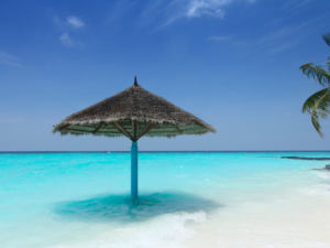 Palm Trees Maldives