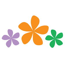 Destination Management Company based Dubai